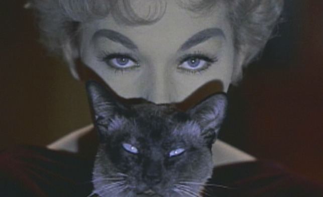 Pyewacket (familiar spirit) Bell Book and Candle 1958 Cinema Cats