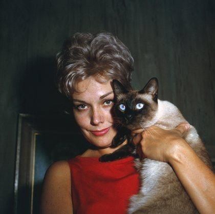 Pyewacket (familiar spirit) Kim Novak and Pyewacket The Cat Files