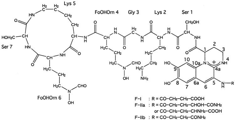 Pyoverdine TinCarbon Cleavage of Organotin Compounds by Pyoverdine from