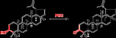 Pyridinium chlorochromate Pyridinium chlorochromate Wikipedia