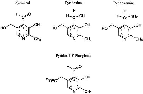 Pyridoxal Pyridoxal phosphate PLP Toney Lab
