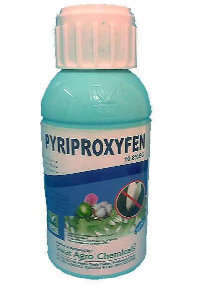 Pyriproxyfen cdnimagesdailystarcoukdynamic1photos635000