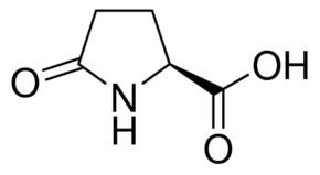 Pyroglutamic acid wwwsigmaaldrichcomcontentdamsigmaaldrichstr