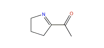 Pyrroline 2acetyl1pyrroline Kovats Retention Index