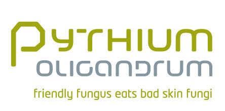 Pythium oligandrum Nail fungus cure Pythium oligandrum cures all skin fungi