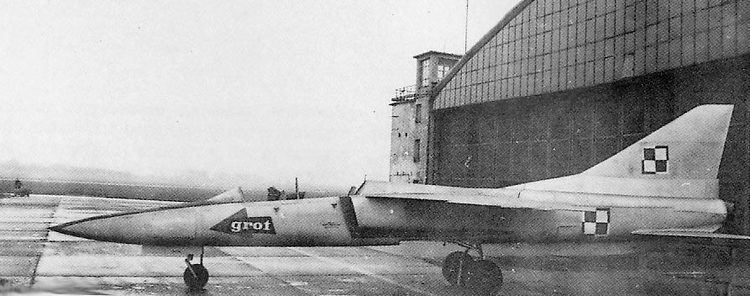 PZL TS-16 Grot Polish Planes from 1939 to the Korean conflict Page 4