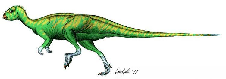Qantassaurus Dann39s Dinosaur Info QANTASSAURUS