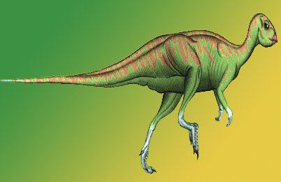 Qantassaurus Qantassaurus Dinosaur facts information Baby dinosaurs