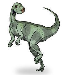 Qantassaurus httpsuploadwikimediaorgwikipediacommonsthu