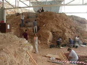 Qesem Cave Human remains spark spat Nature News