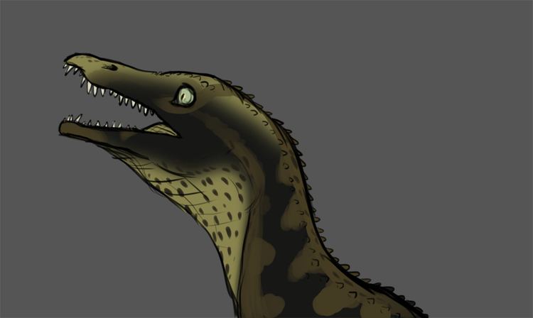 Qianosuchus Qianosuchus by Spikeheila on DeviantArt