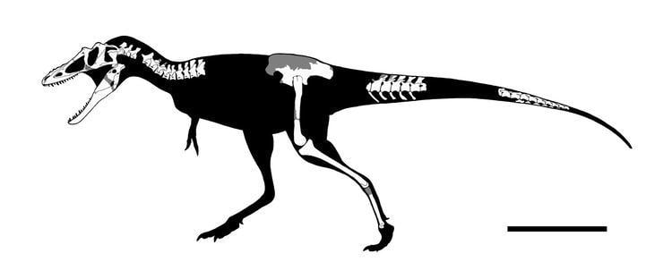 Qianzhousaurus 1000 images about Qianzhousaurus Cretaceous on Pinterest