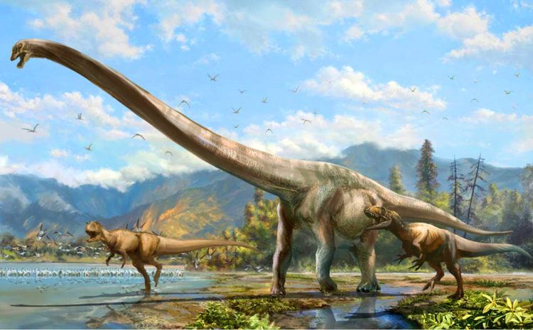 Qijianglong Qijianglong guokr New LongNecked Dinosaur Discovered in China