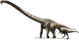 Qijianglong QIJIANGLONG DinoChecker dinosaur archive
