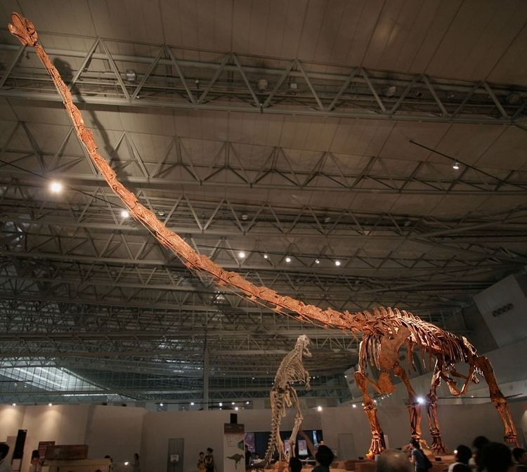Qijianglong Qijianglong New Dinosaur Species With Longest Neck Ever Lazer Horse