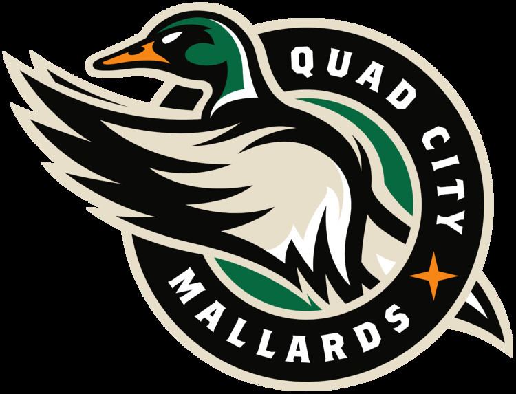 Quad City Mallards httpsuploadwikimediaorgwikipediaenthumb6