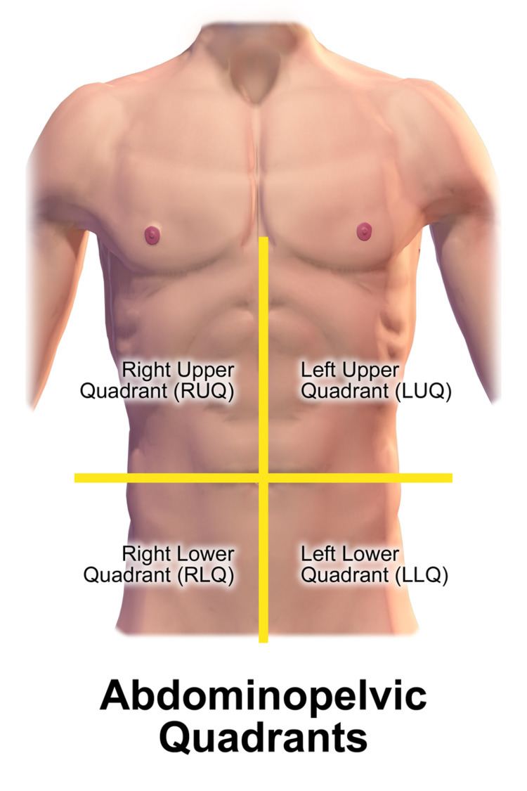 Quadrant (abdomen)