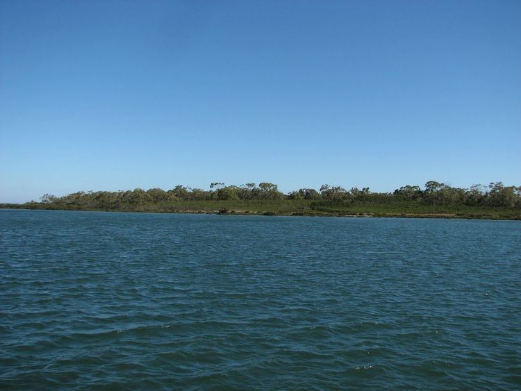 Quail Island (Victoria) httpsuploadwikimediaorgwikipediacommonsthu