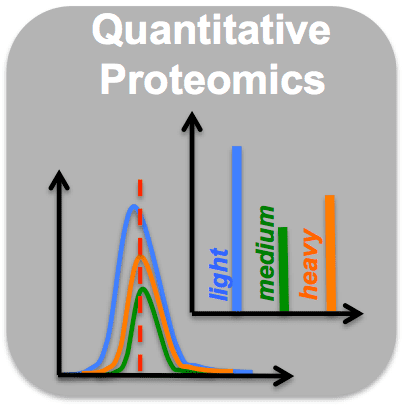 Quantitative proteomics wwwzmbhuniheidelbergdeCentralServicesMassS