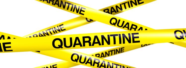 Quarantine Containing Ebola Quarantine and the Constitution Michael C Dorf