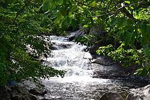 Quarry Falls (Macon County) httpsuploadwikimediaorgwikipediacommonsthu