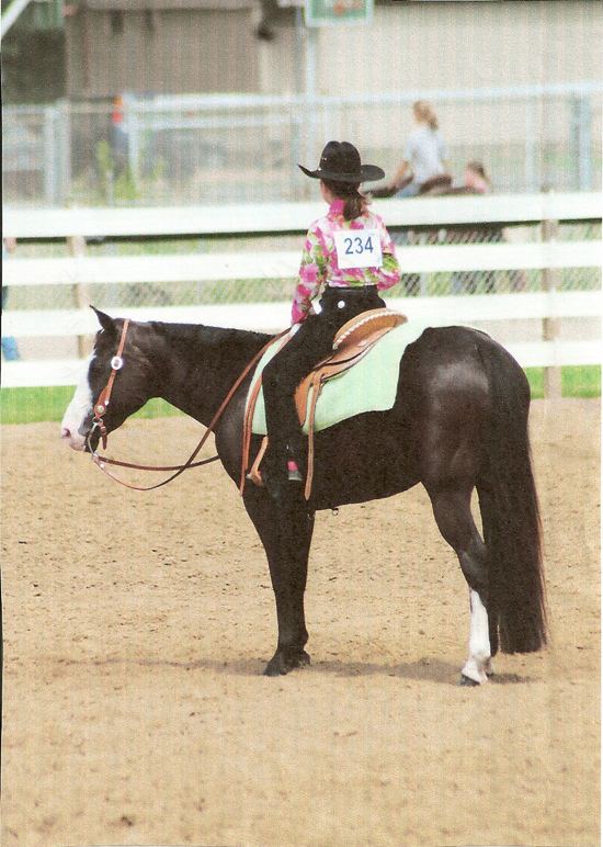 Quarter pony American Quarter Pony Association