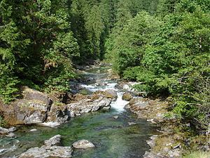 Quartzville Creek httpsuploadwikimediaorgwikipediacommonsthu