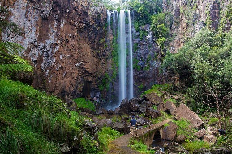 Queen Mary Falls Queen Mary Falls Road Trip Itinerary