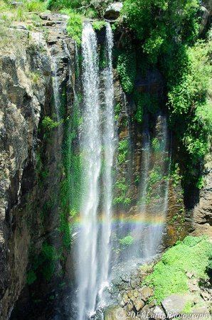 Queen Mary Falls Queen Mary Falls Killarney Australia Top Tips Before You Go