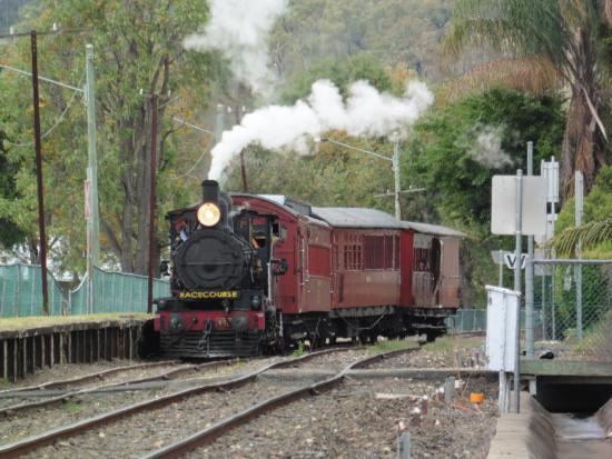 Queensland Pioneer Steam Railway Train coming into station at Bundamba Picture of Queensland