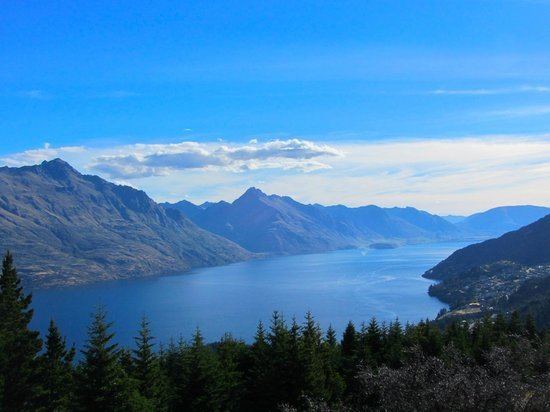Queenstown Hill Queenstown Hill New Zealand Top Tips Before You Go TripAdvisor