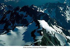 Queets Glacier httpsuploadwikimediaorgwikipediacommonsthu