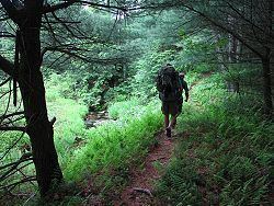 Quehanna Trail System httpsuploadwikimediaorgwikipediacommonsthu