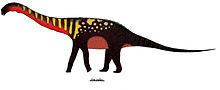 Quetecsaurus httpsuploadwikimediaorgwikipediacommonsthu