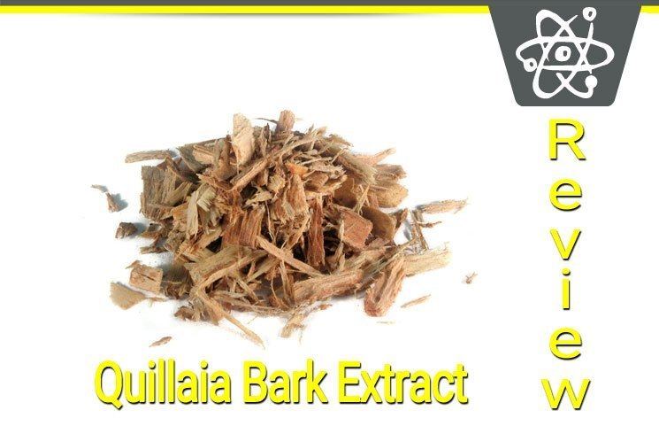 Quillaia Quillaia Bark Extract Review Surprising Health Benefits