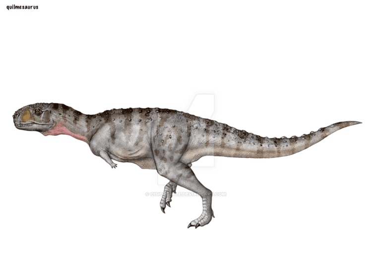 Quilmesaurus Quilmesaurus by cisiopurple on DeviantArt