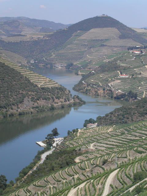 Quinta classification of Port vineyards in the Douro