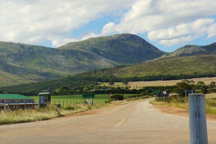 R402 road (South Africa)