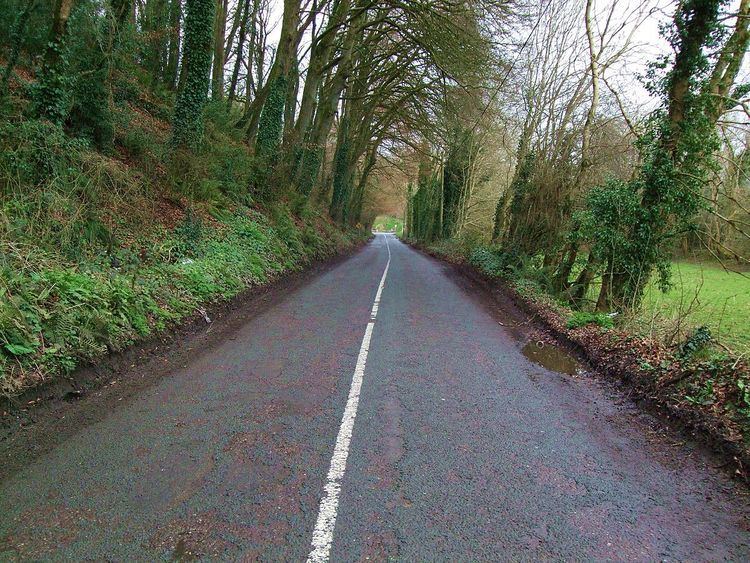 R667 road (Ireland)