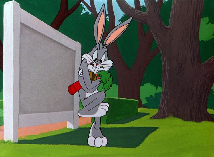 Rabbit Hood Looney Tunes Pictures Rabbit Hood