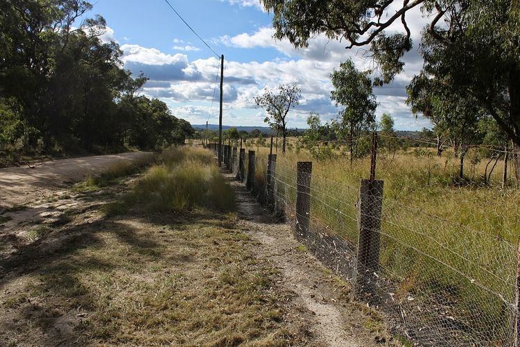 Rabbit-proof fence (Queensland)