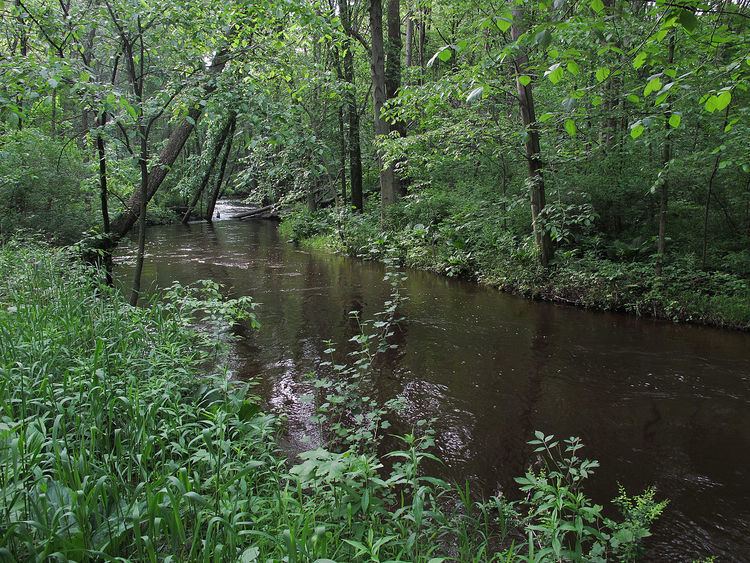 Rabbit River (Michigan)
