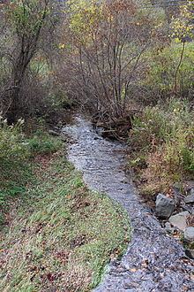 Raccoon Creek (Tomhicken Creek) httpsuploadwikimediaorgwikipediacommonsthu