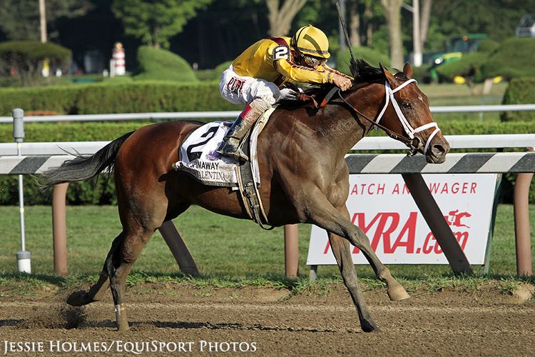 Rachel's Valentina Bloodlines From Rachel With Plenty Of Potential Horse Racing