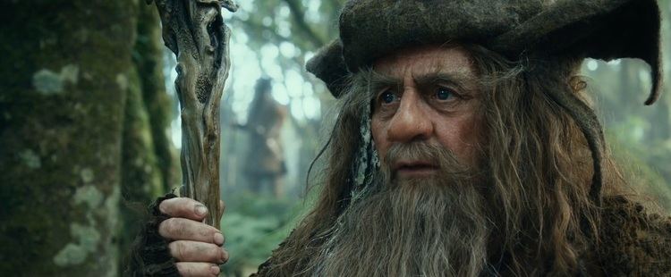 Radagast The Curious Case of Radagast the Brown A Tolkienist39s Perspective