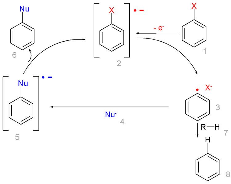 Radical-nucleophilic aromatic substitution