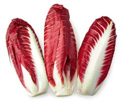 Radicchio Treviso Radicchio Royal Rose LLCRoyal Rose LLC