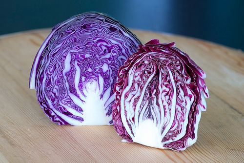 Radicchio Food Blogga What39s the Difference Between Red Cabbage and Radicchio