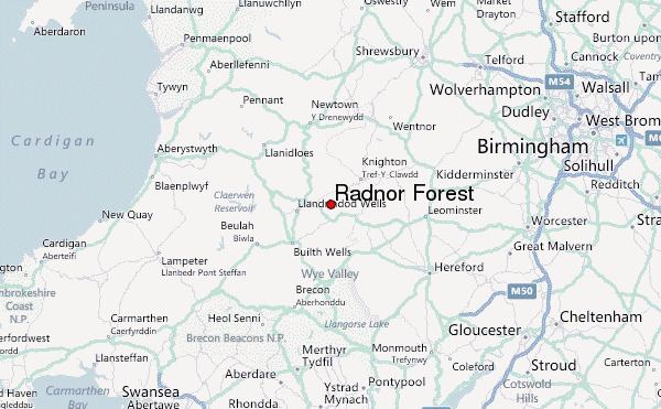 Radnor Forest Radnor Forest Mountain Information