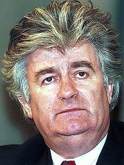 Radovan Karadzic httpsuploadwikimediaorgwikipediacommonsthu